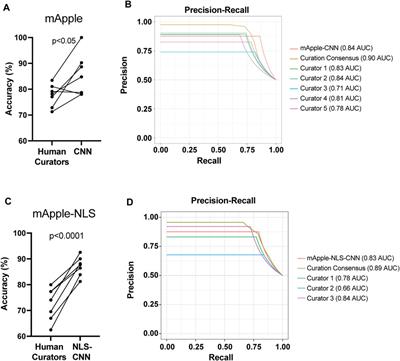 Fluorescently labeled nuclear morphology is highly informative of neurotoxicity